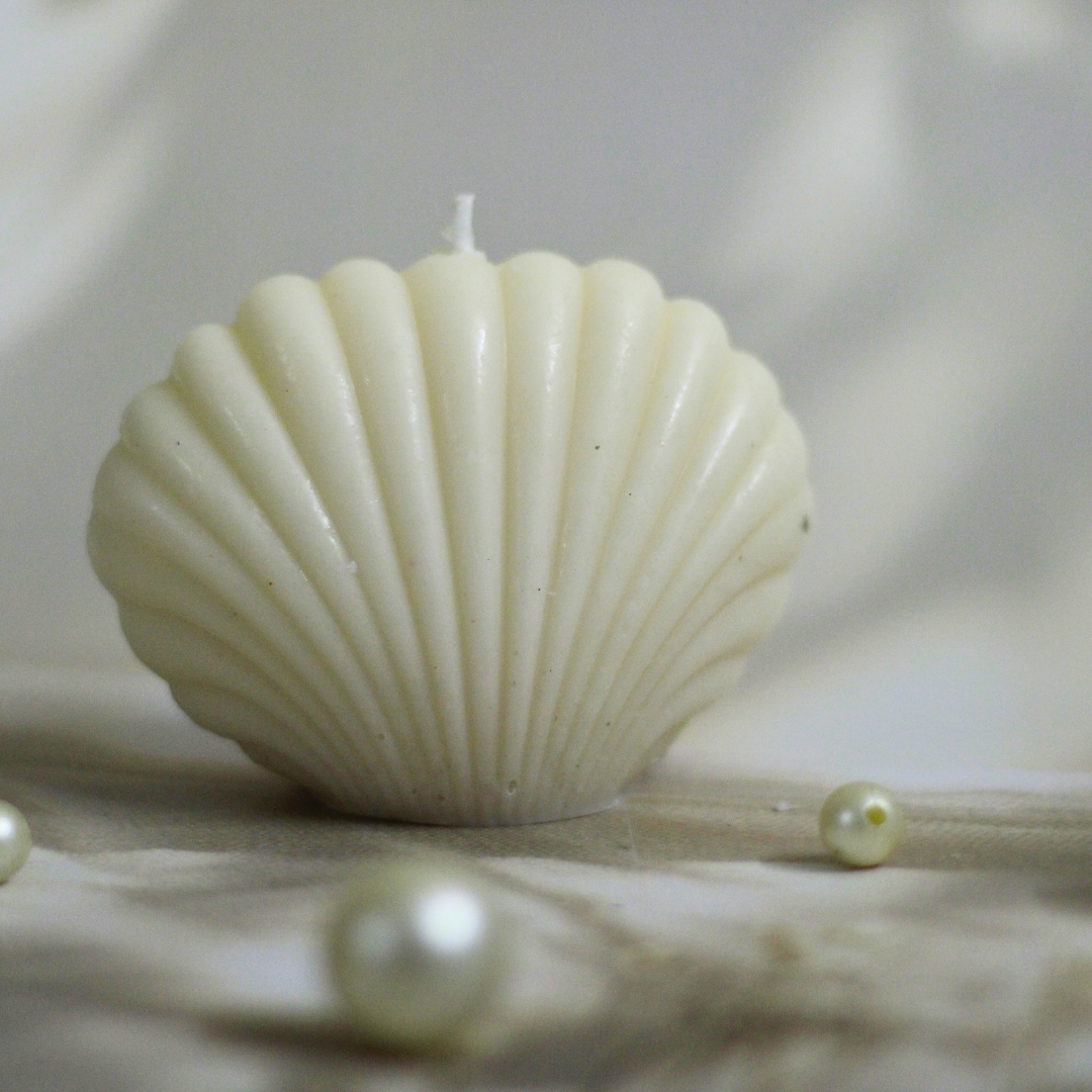 Shell Candle – A Coastal Touch of Calm
