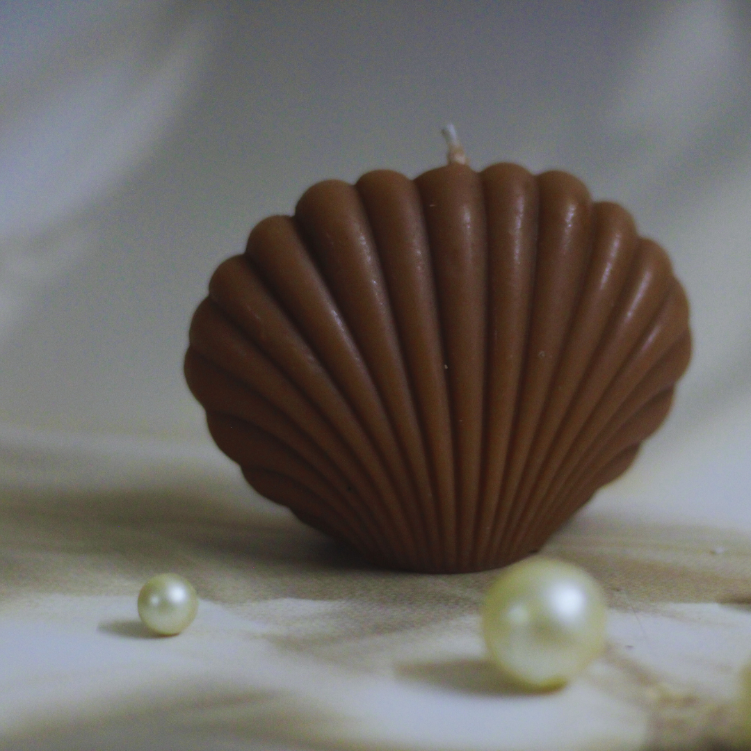 Shell Candle – A Coastal Touch of Calm