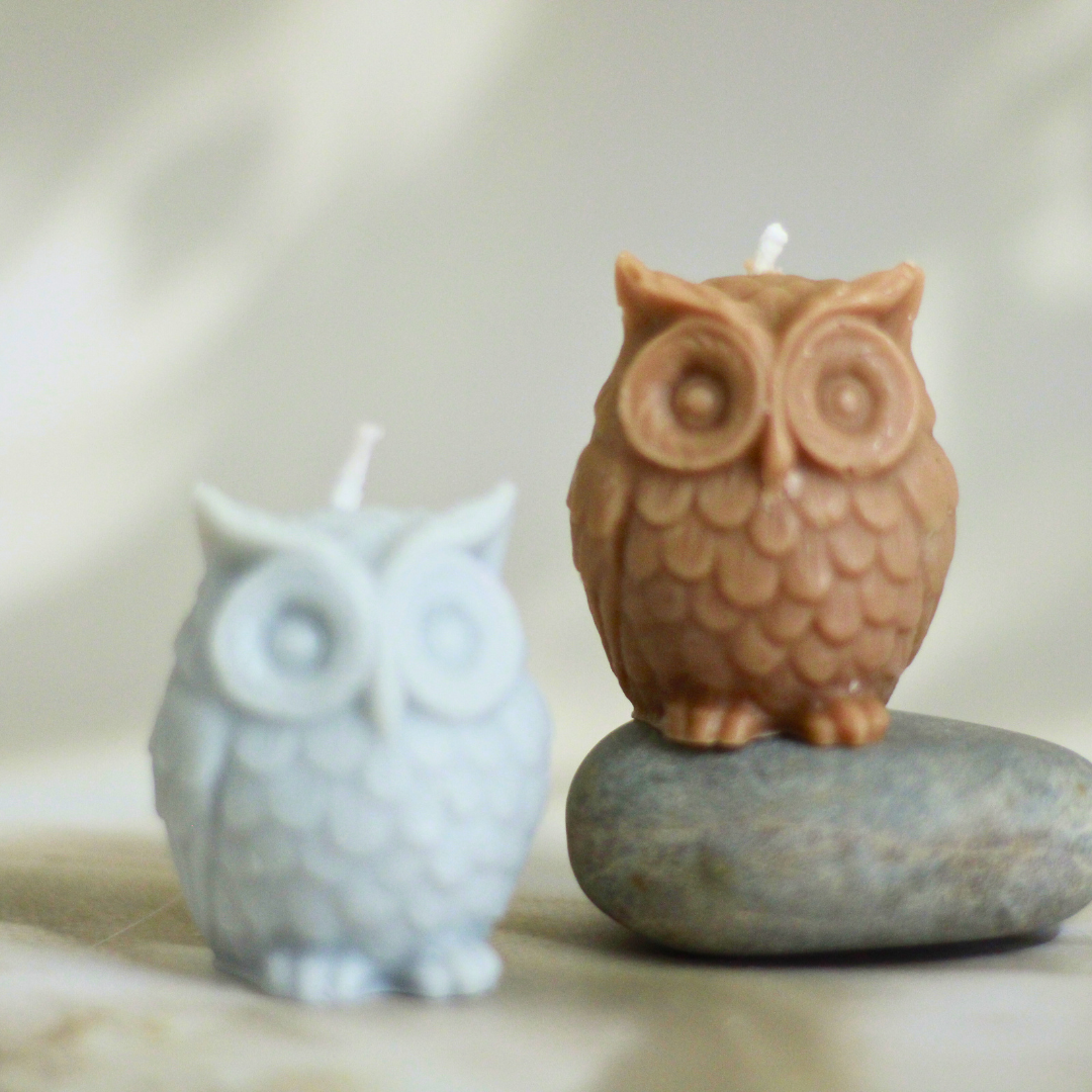 Owl Wisdom Candle (Set of 2) – Awaken Your Inner Clarity