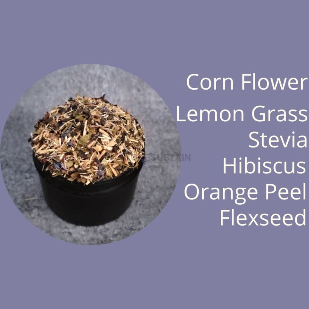 Hibiscus Twist Green Tea - Codesustain