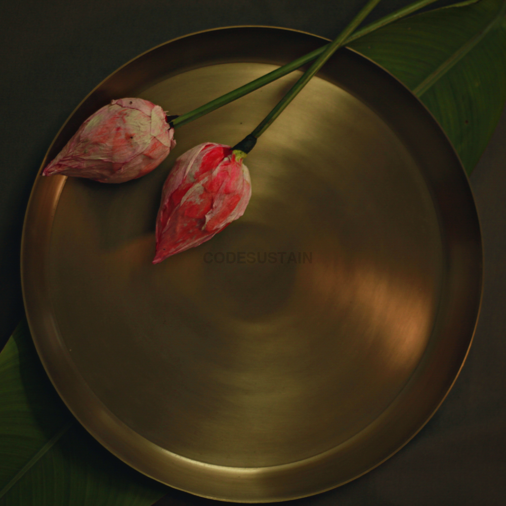 Antique Kansa Thali | Dinner Plate | 12 Inches - Codesustain Ventuures Pvt Ltd