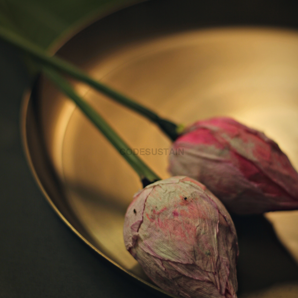 Antique Kansa Thali | Dinner Plate | 12 Inches - Codesustain Ventuures Pvt Ltd