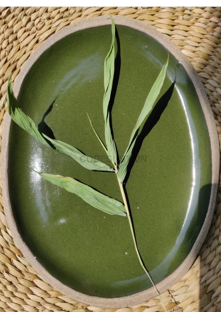 StoneLuxe Classic Dinner Oval Platter l Serving Platter - Codesustain