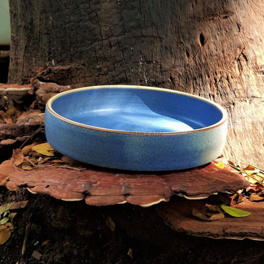 Cusinart Stoneware Pasta Plate - Codesustain