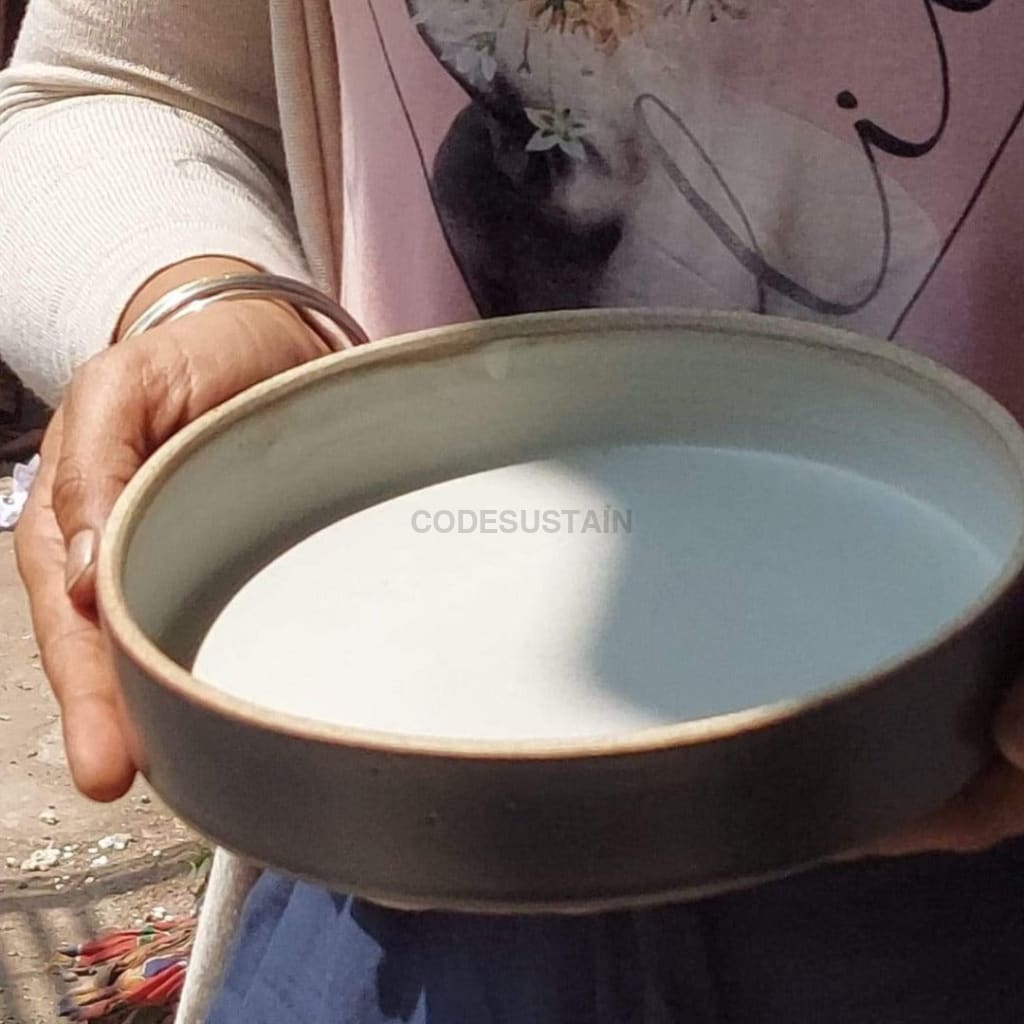 Stoneware Pasta | Curry Plate | Cusinart Collection - Codesustain