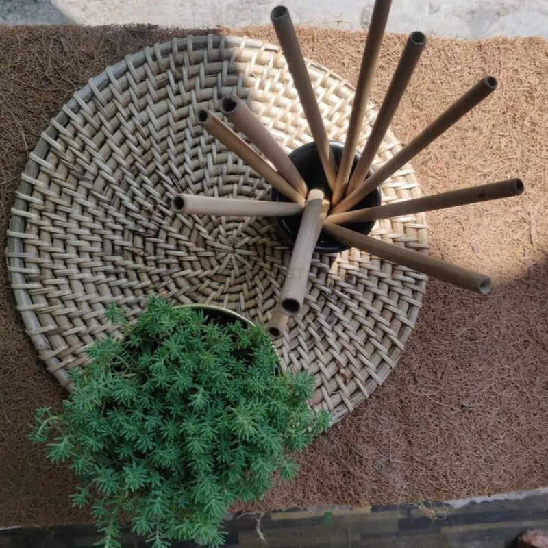 Kaca Bamboo Natural Straws - Codesustain