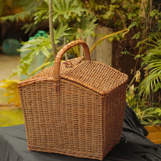 Large Cane Rattan Picnic Basket | Handmade Cane Storage Basket Storage Baskets